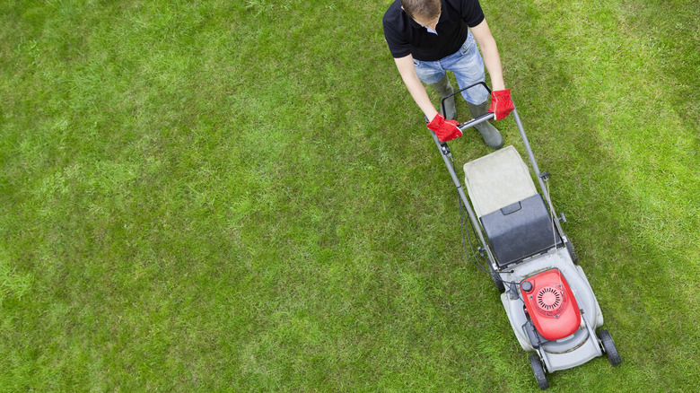 Person mowing a lawn