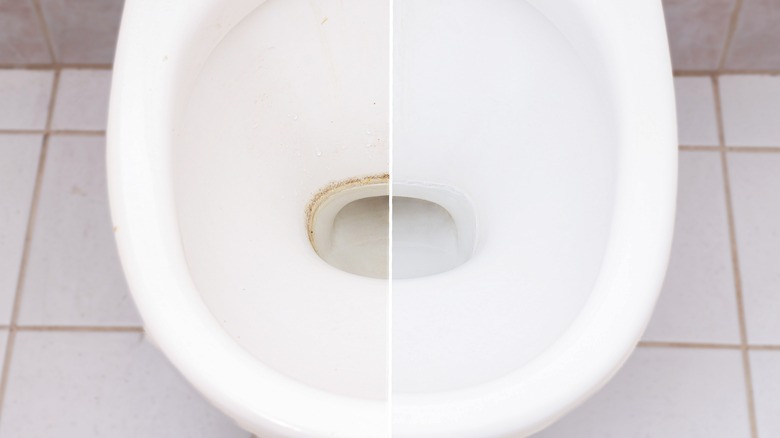 Hard water stain comparison inside a toilet bowl