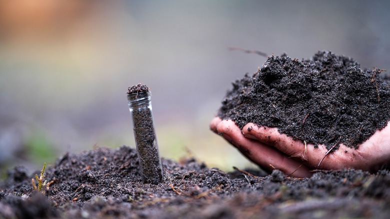 A hand holding soil and a tube taking a soil test