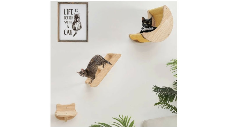 Unusual angled cat shelves 