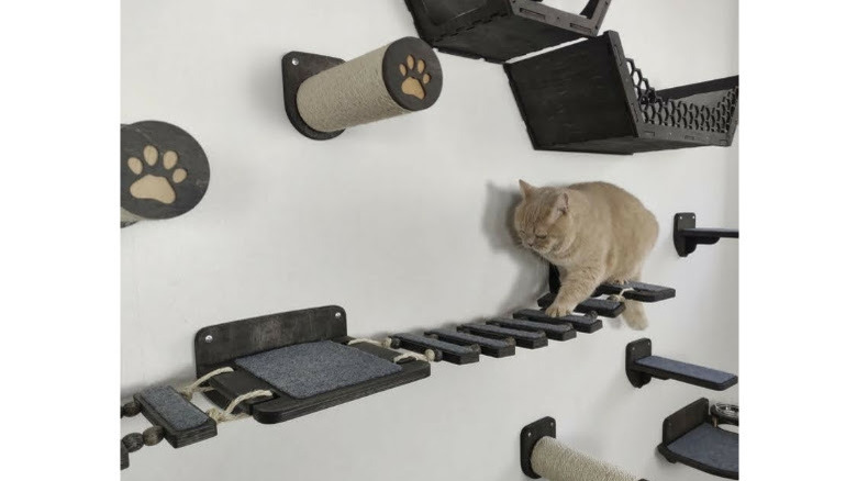 Close-up elements of built-in cat tree 