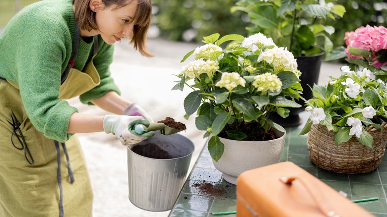 Woman preparing soil