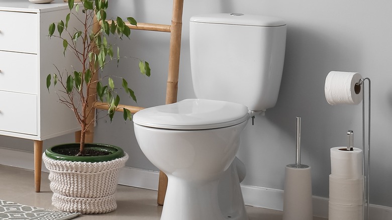 home bathroom toilet