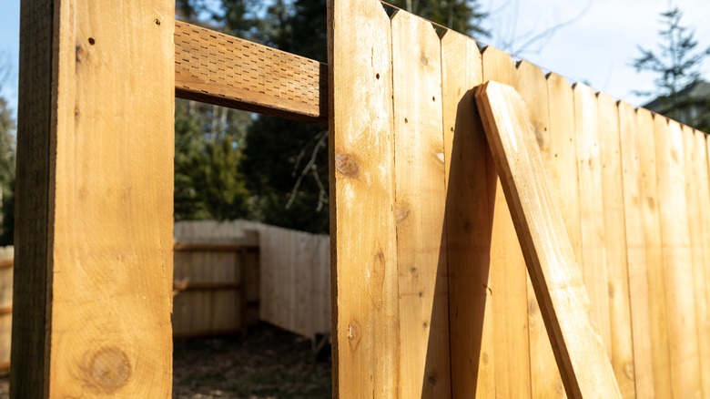 A fence with a few missing boards