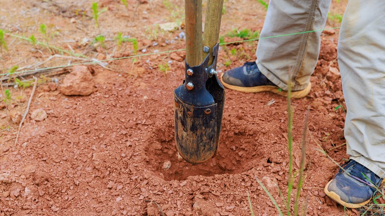 Man using a post hole digger