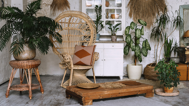 rattan furniture and plants