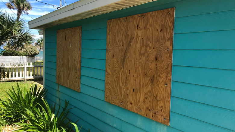 blue home with plywood windows