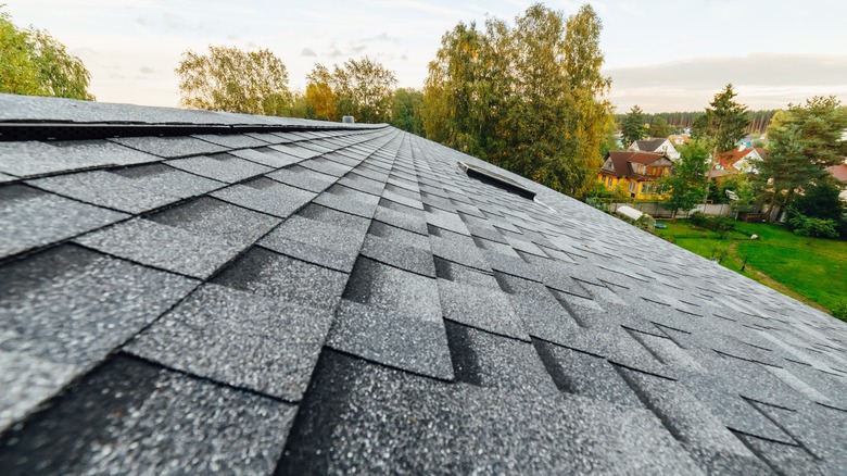 shingled roof