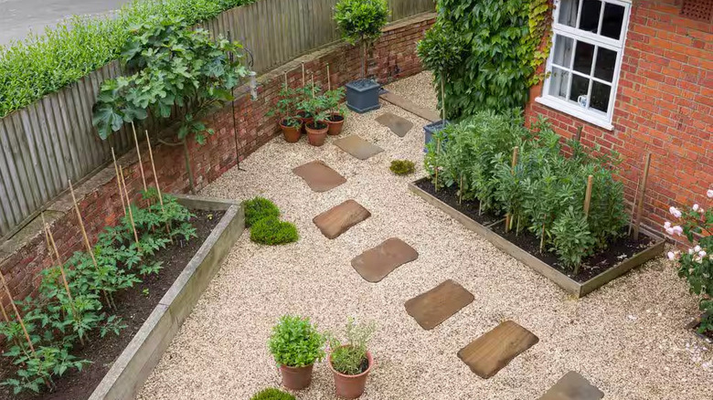 Stepping stone path in garden