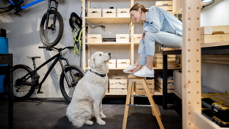 garage with wooden storage shelves