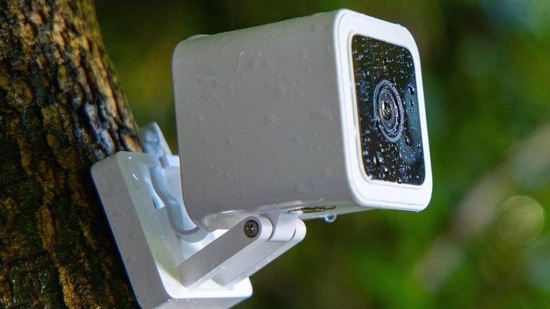 White outdoor video camera on tree