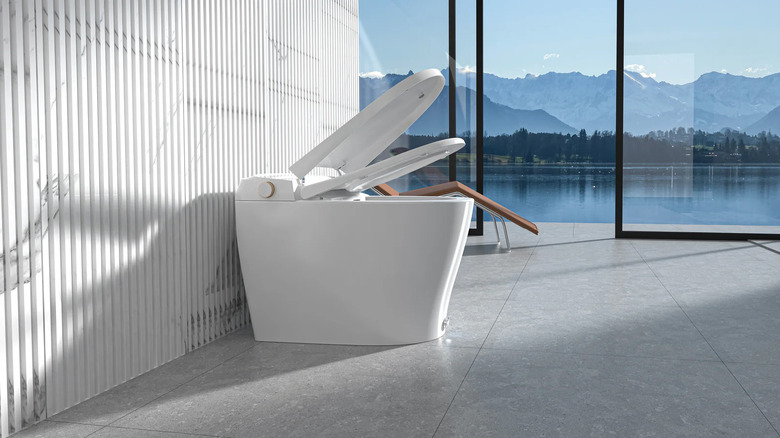 Ecoway Luxury Toilet with mountains