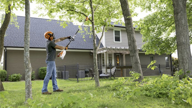 Person using the STIHL pole pruner