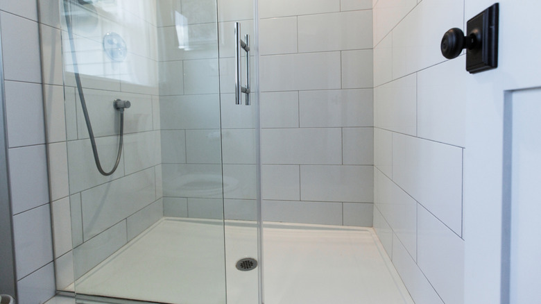 A clean tiled modern shower stall