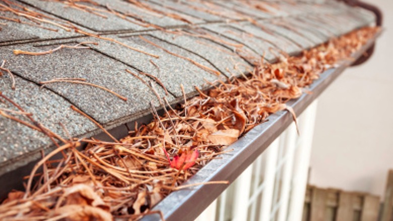 Clogged gutters on a house