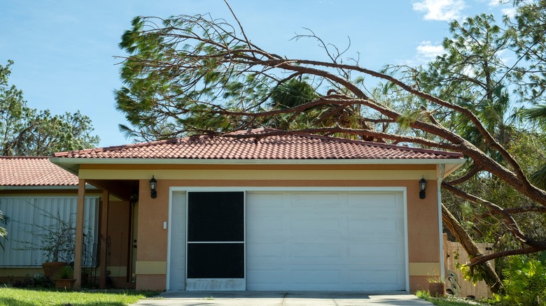 A fallen tree on a garage