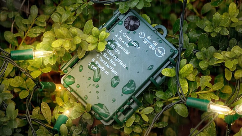 A timer on a bush with Christmas lights