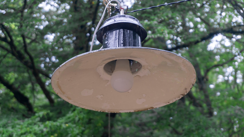 Corrosion on an outdoor lighting fixture