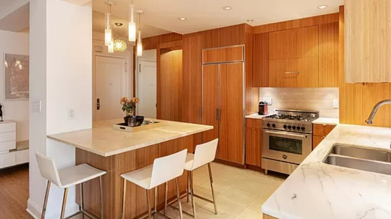 Chef's kitchen with breakfast bar