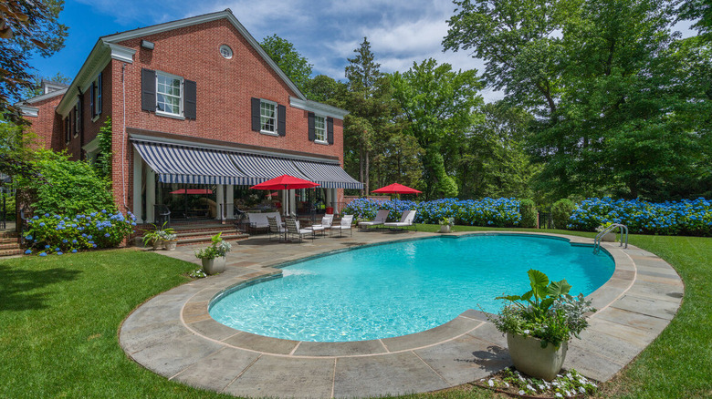 Backyard with large pool