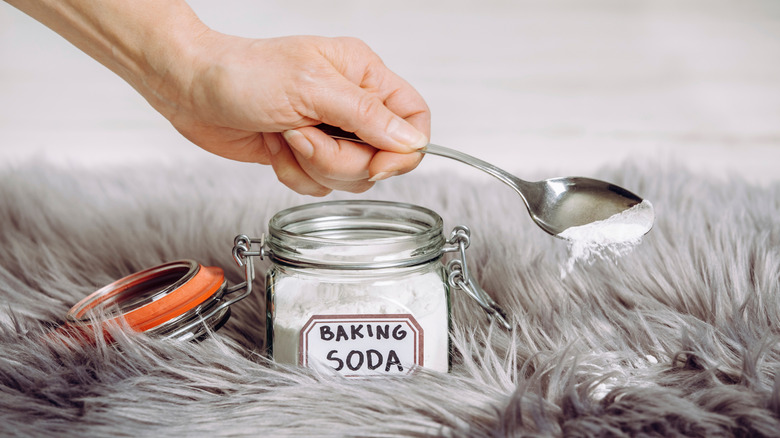 A spoon applying baking soda to fuzzy carpet