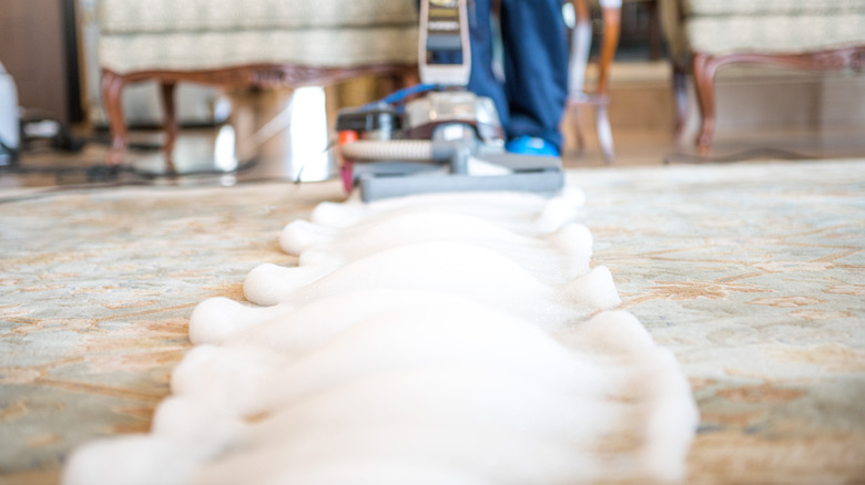 Close up of deep-cleaning carpet