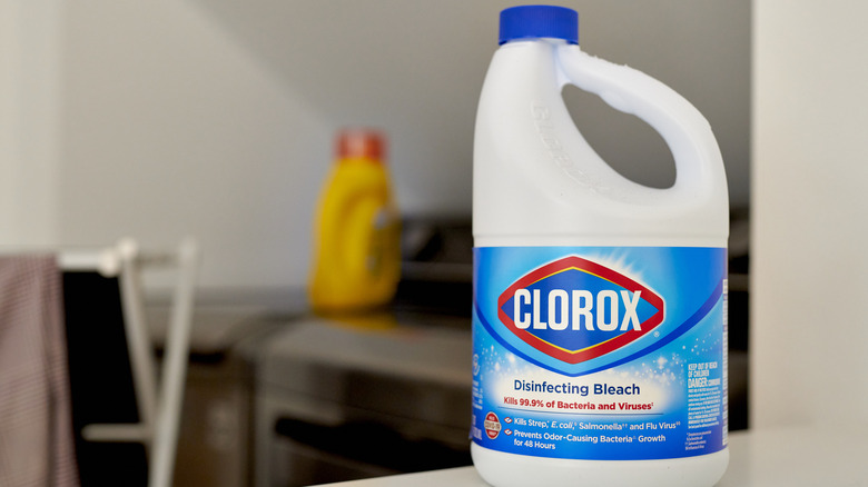 Bottle of Clorox bleach