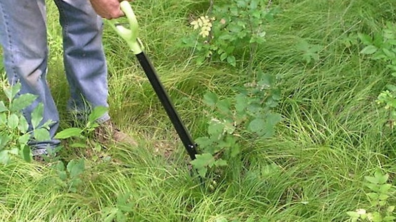 Man grasps root to pull out of the ground