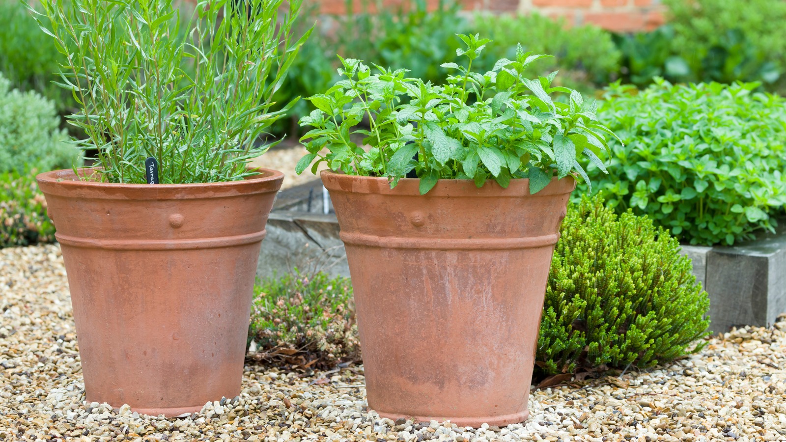 Transform An Old Pot Into A Luxurious Planter With A Cheap IKEA Hack