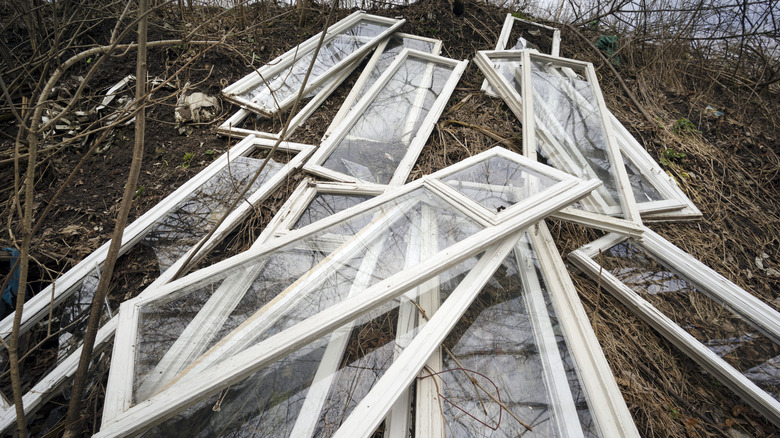 White-painted antique windows are piled up in a wooded area