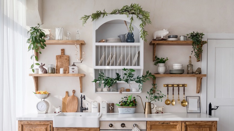 Green plants on cabinets