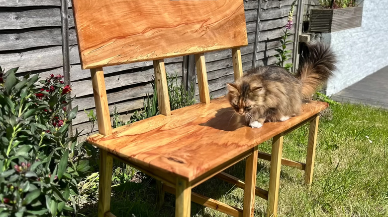 Wooden bench from two chairs