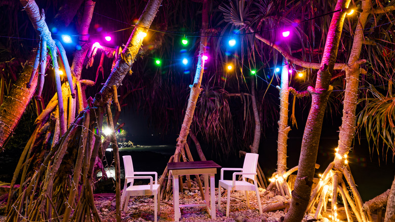 a tropical outdoor space with a table and chairs surrounded by multi-colored string lights and trees