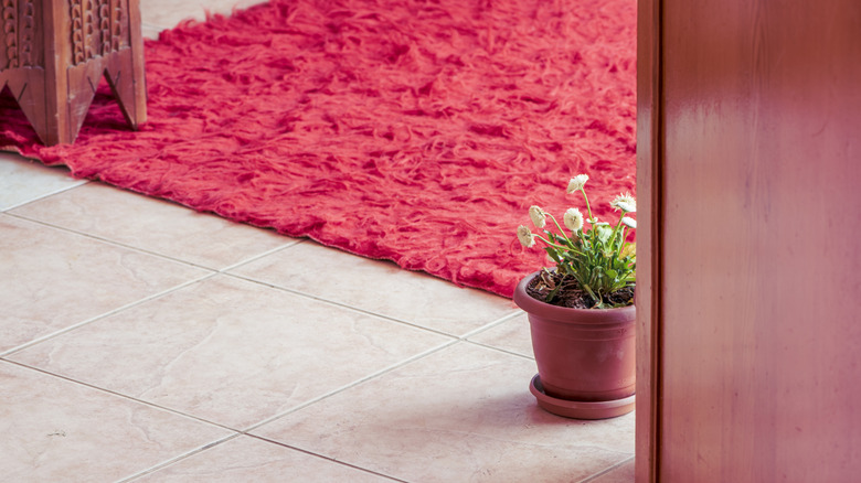 A red shag rug covers a tile floor