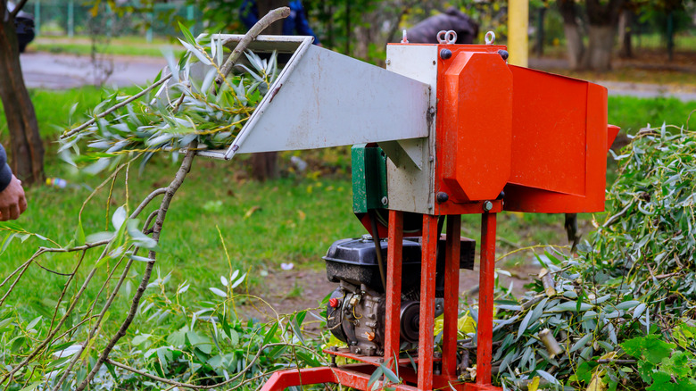 branches in tree shredder