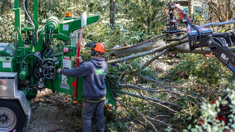 men working with a wood chipper