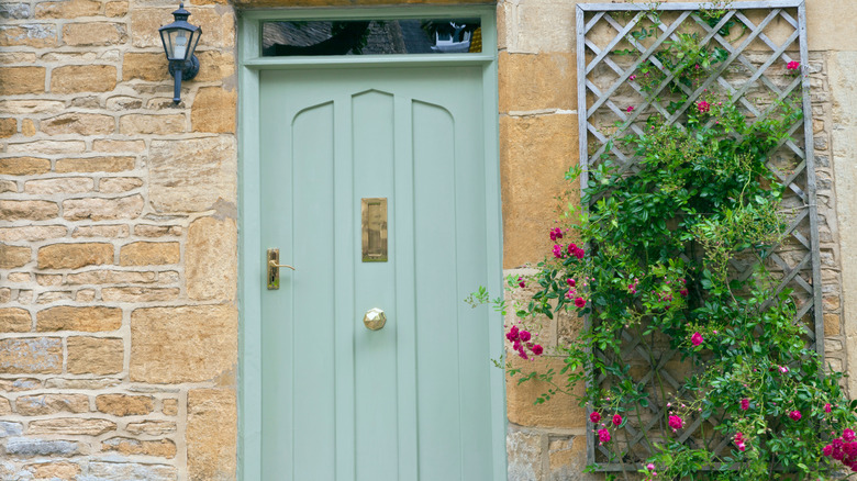 trellis beside blue door