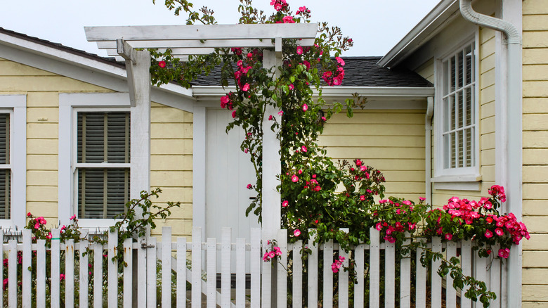 yellow house clematis trellis