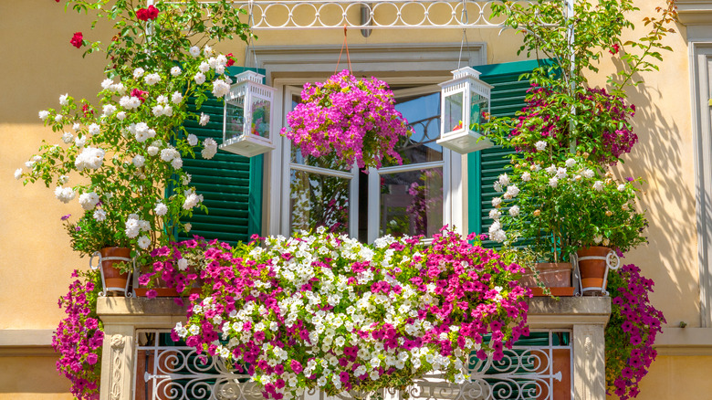 artistic trellis on balcony