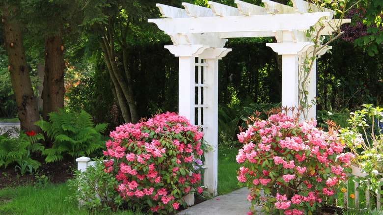 white trellis pink flowers