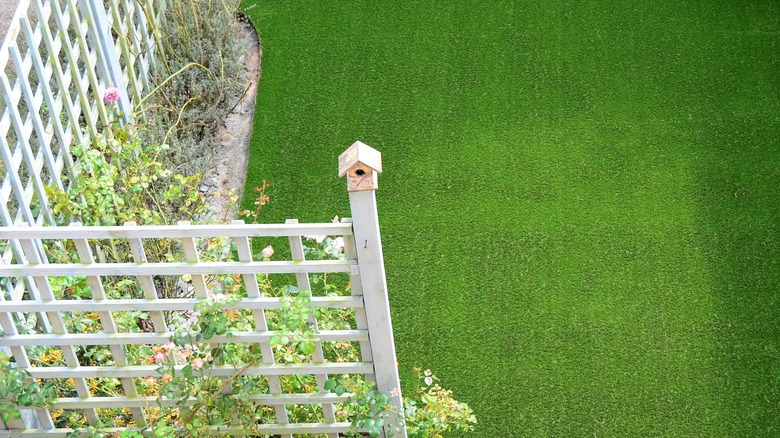 corner white trellises