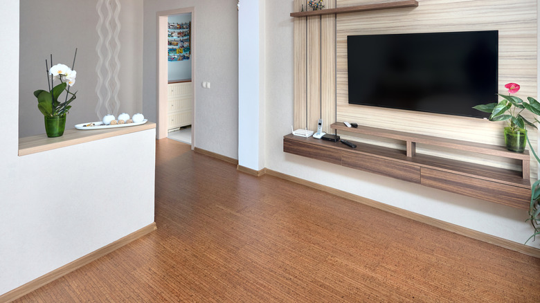 A living room with cork flooring