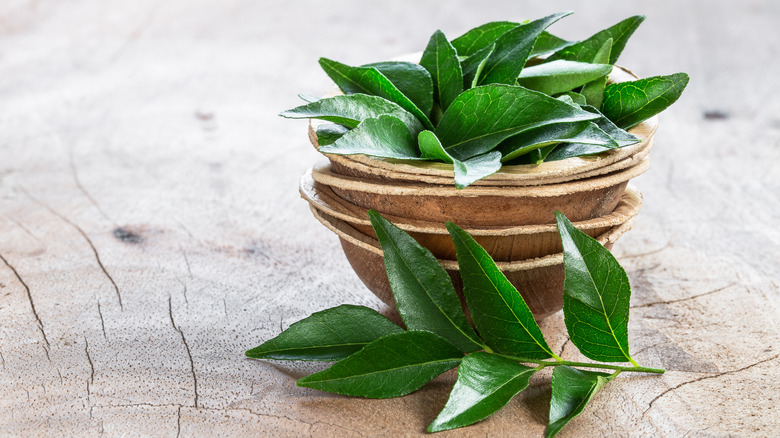 curry leaves in wooden bowl