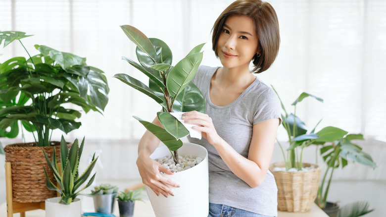 person wiping down faux plant