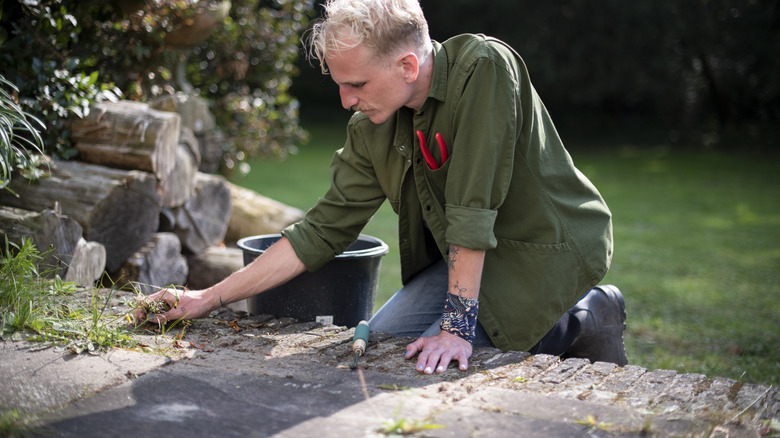 man weeding patio paver cracks