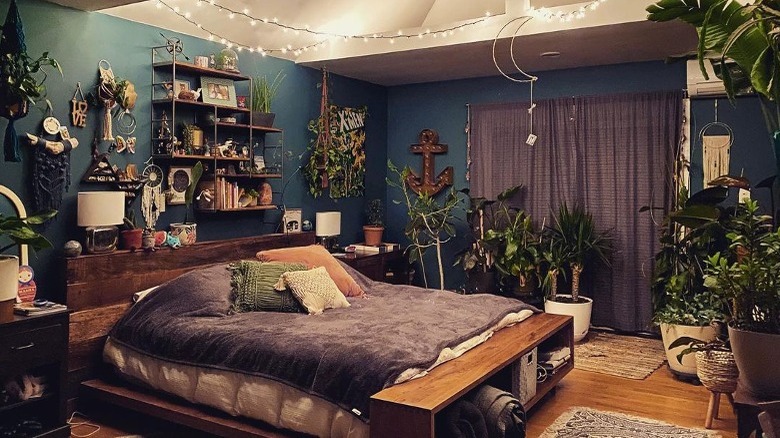 Dark blue room with plants