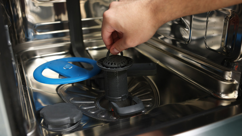 A person pulling the filter out of a dishwasher