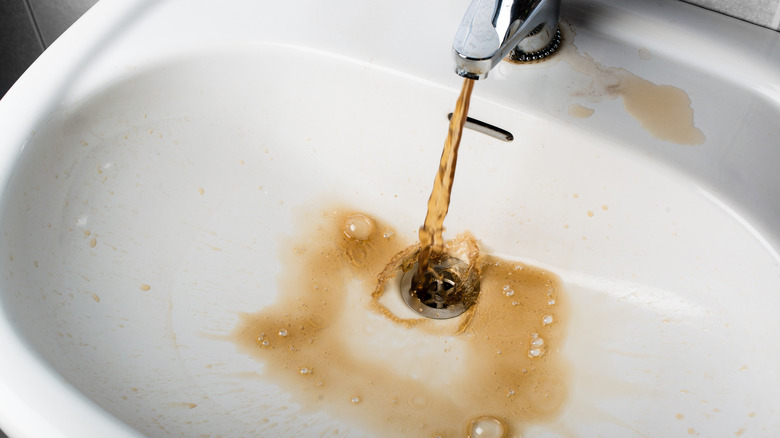 Brown water running to a white sink