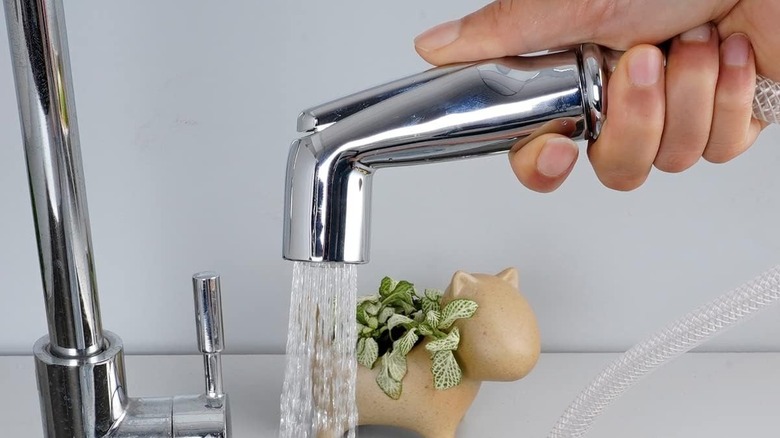 Person rinsing a sink with sprayer hose