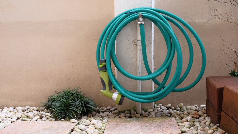 green garden hose on spigot